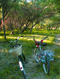 Vintage Bicycles